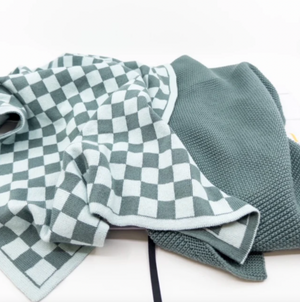 Kitchen Towel Duos - Sea Foam Chequer