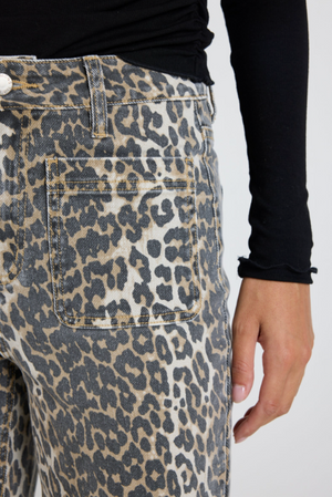 Leopard print pants with a plain background